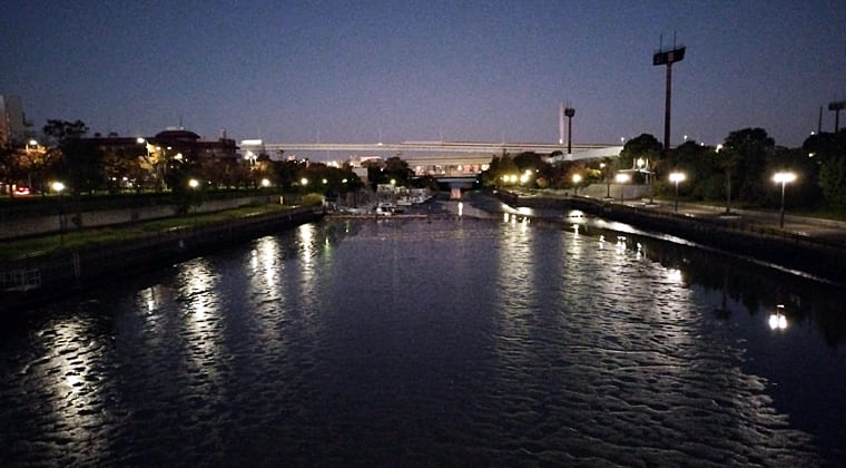 東京の東の端からわたしのウォーキング記録（2025.11.12）2