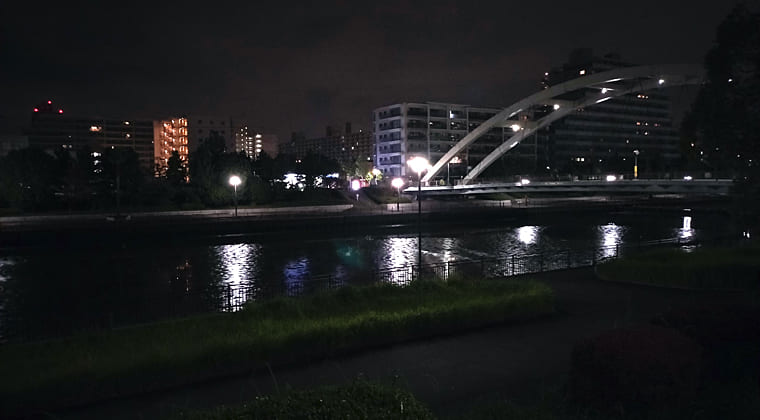 東京の東の端からわたしのウォーキング記録（2025.11.13）2