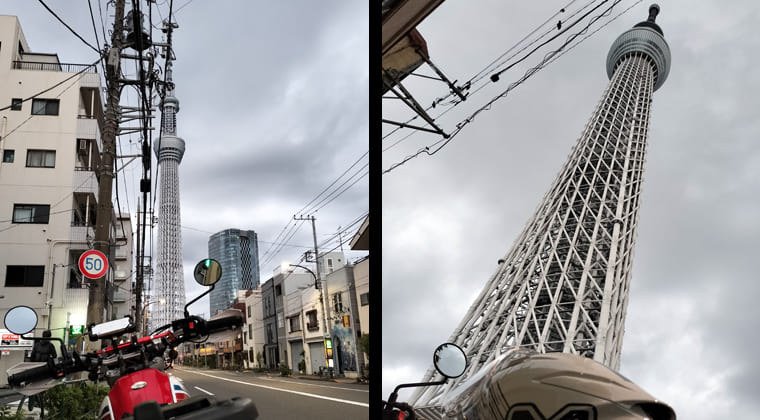 東京の東の端からわたしのウォーキング記録（2025.11.15）1