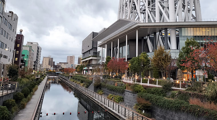 東京の東の端からわたしのウォーキング記録（2025.11.15）2