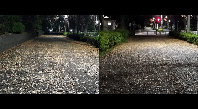 東京の東の端からわたしのウォーキング記録（2025.11.16）1