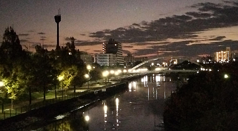 東京の東の端からわたしのウォーキング記録（2025.11.17）1