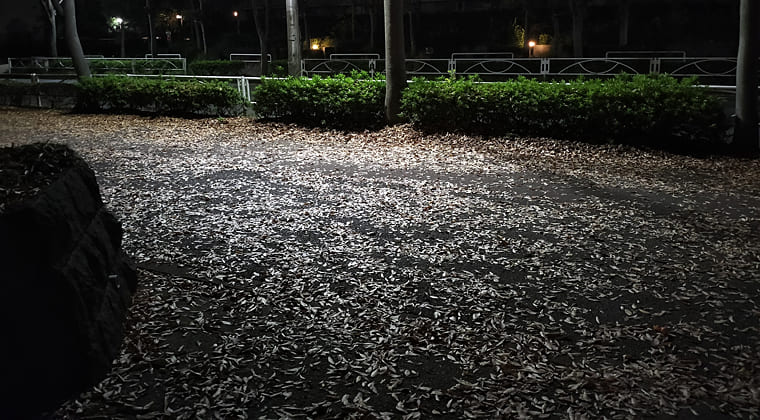 東京の東の端からわたしのウォーキング記録（2025.11.17）2