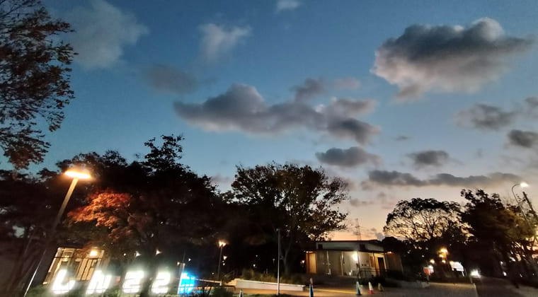 東京の東の端からわたしのウォーキング記録（2025.11.17）3