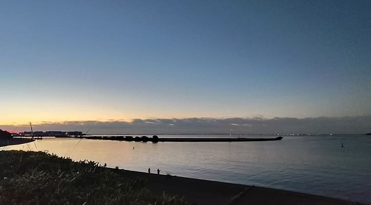 東京の東の端からわたしのウォーキング記録（2025.11.19）3