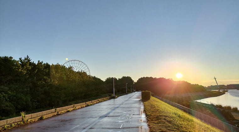 東京の東の端からわたしのウォーキング記録（2025.11.1）1