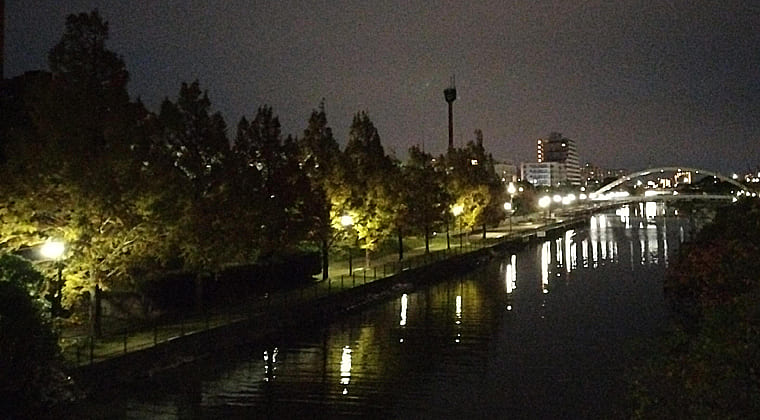 東京の東の端からわたしのウォーキング記録（2025.11.20）