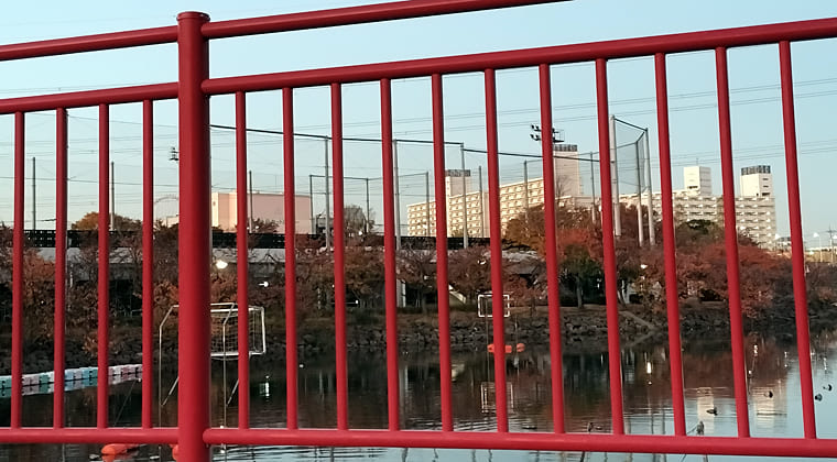 東京の東の端からわたしのウォーキング記録（2025.11.21）2