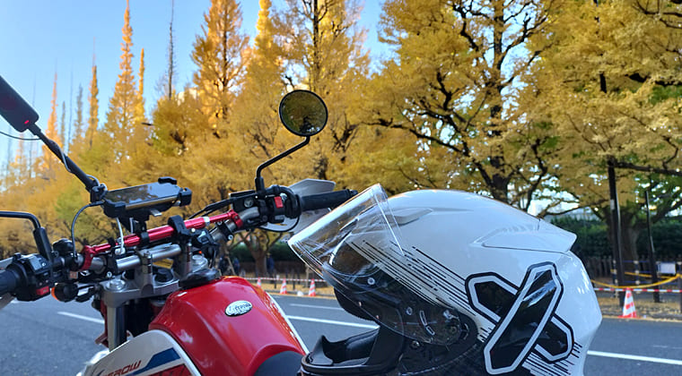 東京の東の端からわたしのウォーキング記録（2025.11.22）1