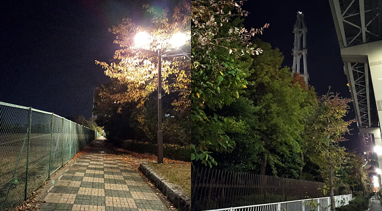 東京の東の端からわたしのウォーキング記録（2025.11.24）1