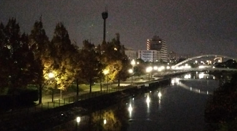 東京の東の端からわたしのウォーキング記録（2025.11.25）1