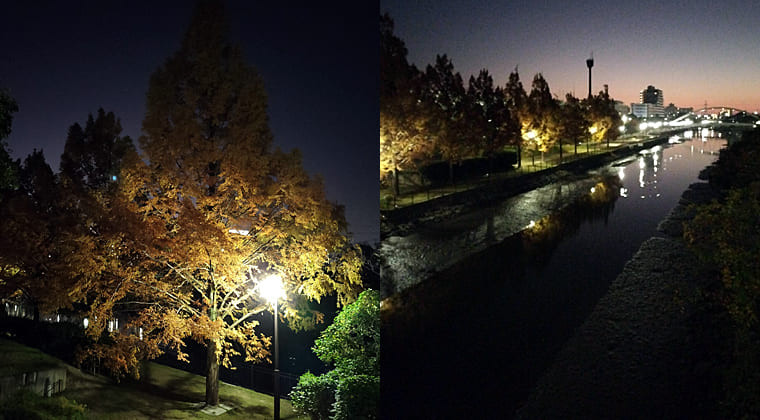 東京の東の端からわたしのウォーキング記録（2025.11.27）2