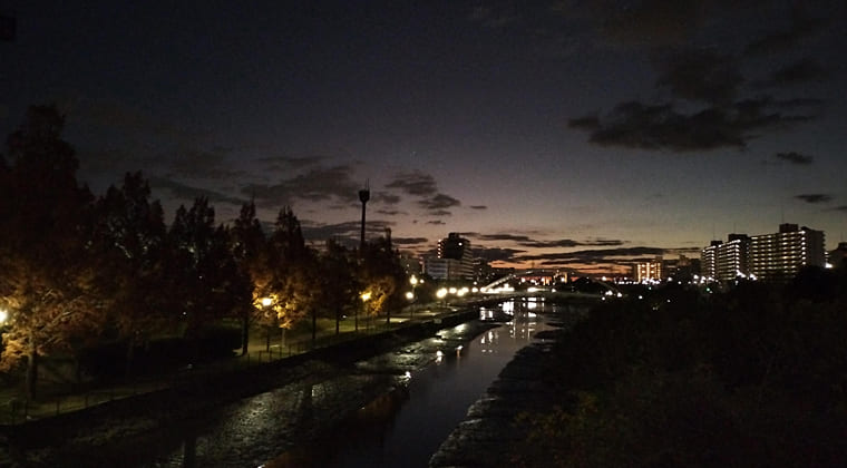 東京の東の端からわたしのウォーキング記録（2025.11.29）2