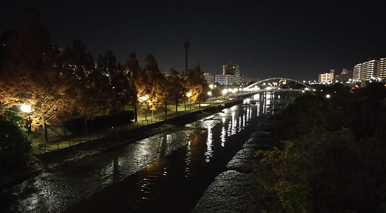 東京の東の端からわたしのウォーキング記録（2025.11.30）1