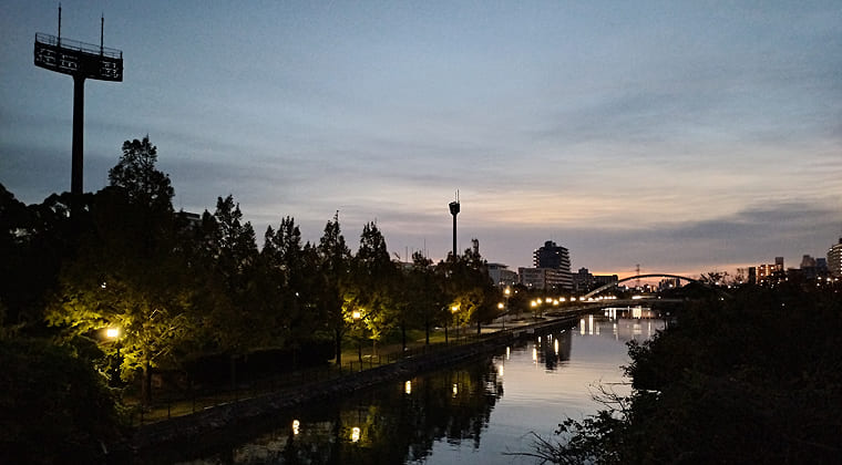 東京の東の端からわたしのウォーキング記録（2025.11.5）1