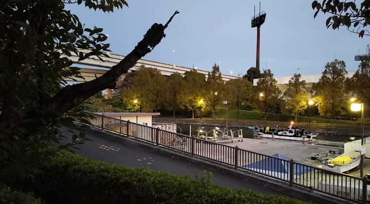 東京の東の端からわたしのウォーキング記録（2025.11.5）2