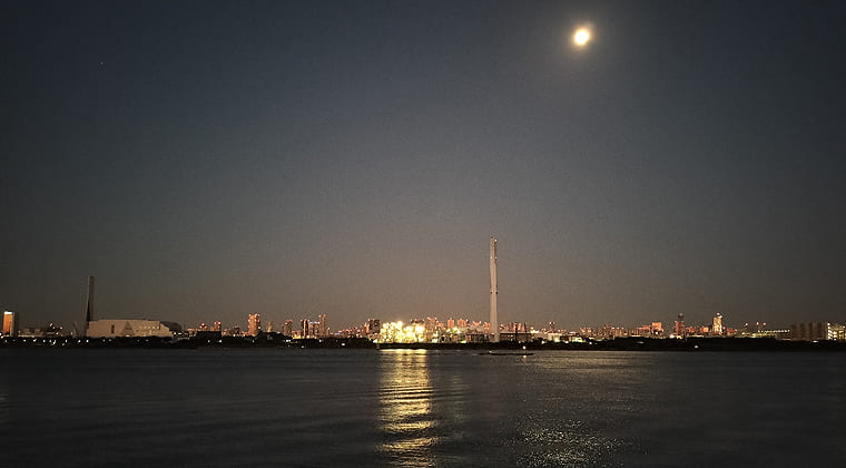 東京の東の端からわたしのウォーキング記録（2025.11.7）1