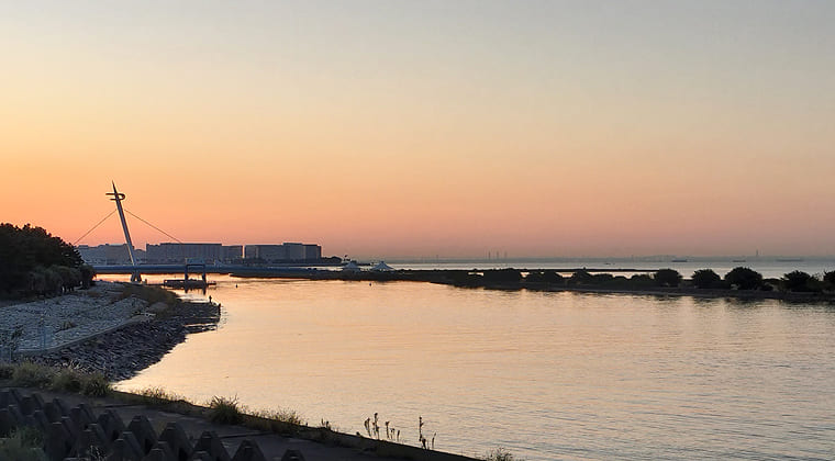 東京の東の端からわたしのウォーキング記録（2025.11.7）2