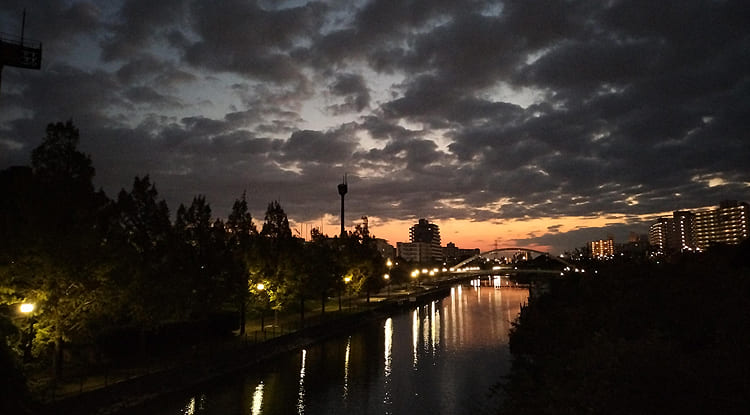 東京の東の端からわたしのウォーキング記録（2025.11.8）1