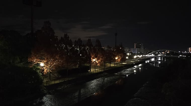 東京の東の端からわたしのウォーキング記録（2025.12.11）1