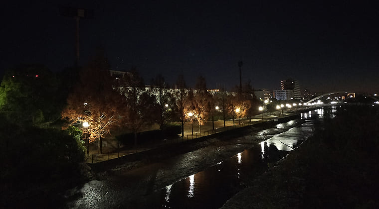 東京の東の端からわたしのウォーキング記録（2025.12.12）1