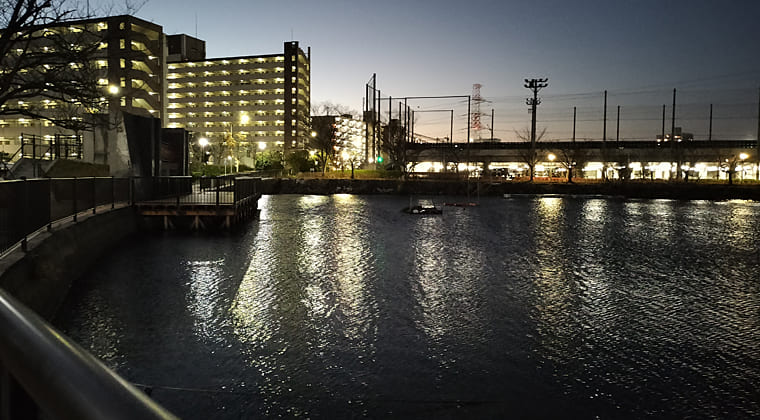 東京の東の端からわたしのウォーキング記録（2025.12.12）2