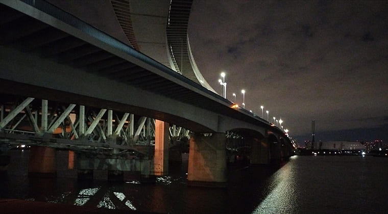 東京の東の端からわたしのウォーキング記録（2025.12.13）2