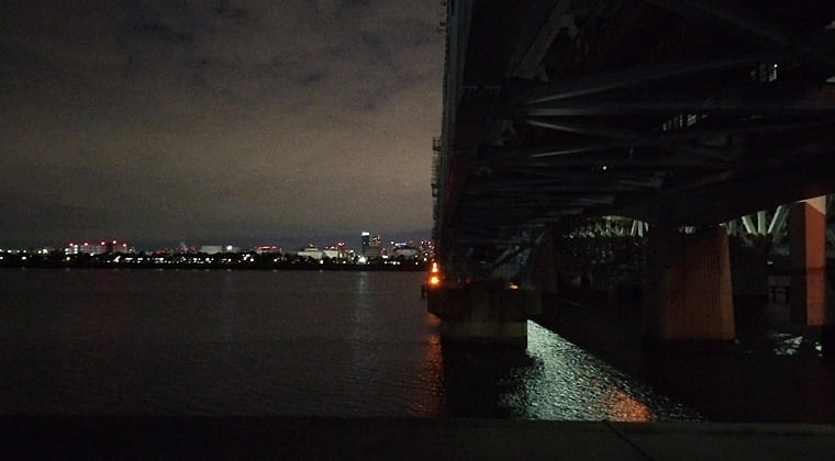 東京の東の端からわたしのウォーキング記録（2025.12.13）3