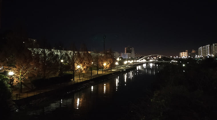 東京の東の端からわたしのウォーキング記録（2025.12.15）2