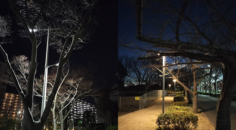 東京の東の端からわたしのウォーキング記録（2025.12.18）2