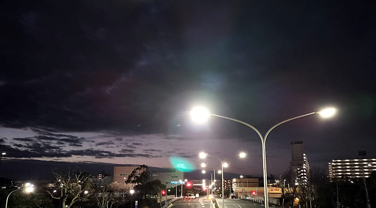 東京の東の端からわたしのウォーキング記録（2025.12.19）2