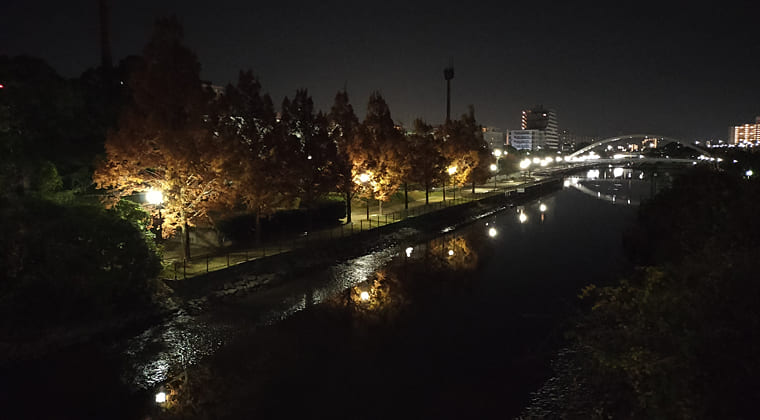 東京の東の端からわたしのウォーキング記録（2025.12.1）1