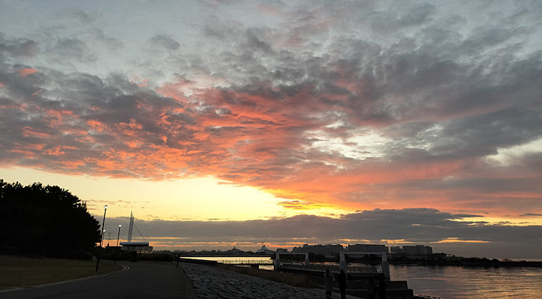 東京の東の端からわたしのウォーキング記録（2025.12.20）2