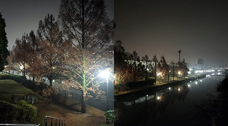 東京の東の端からわたしのウォーキング記録（2025.12.21）1