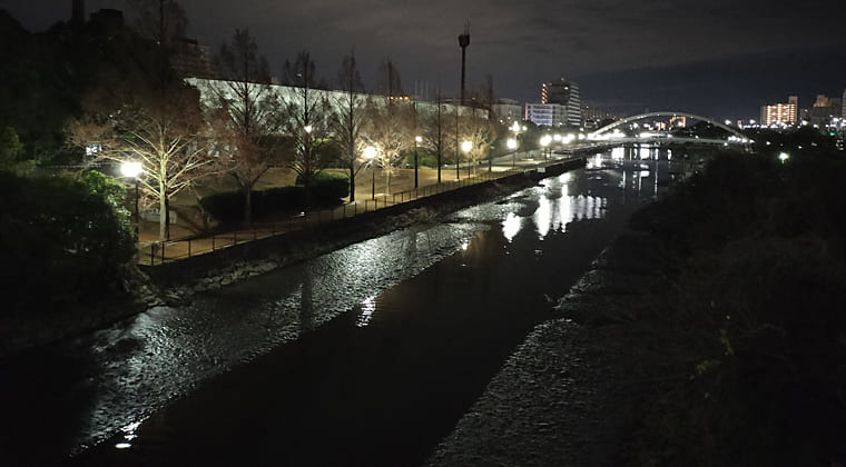 東京の東の端からわたしのウォーキング記録（2025.12.29）1