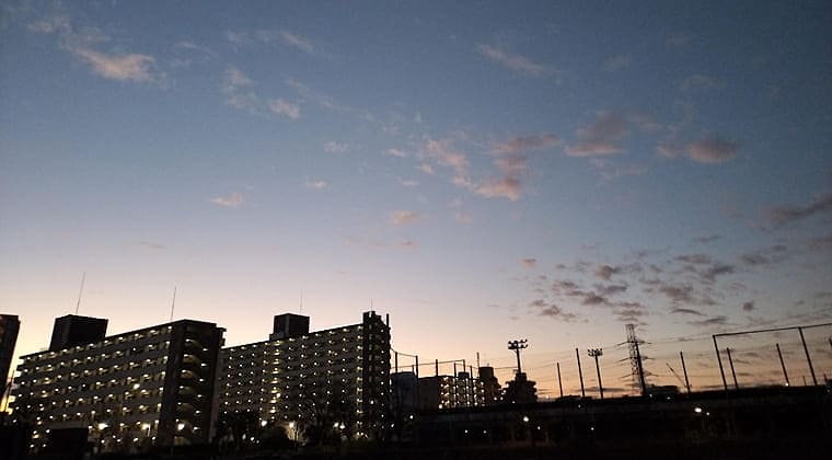 東京の東の端からわたしのウォーキング記録（2025.12.29）3