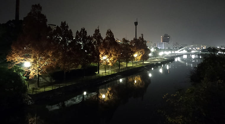 東京の東の端からわたしのウォーキング記録（2025.12.3）1