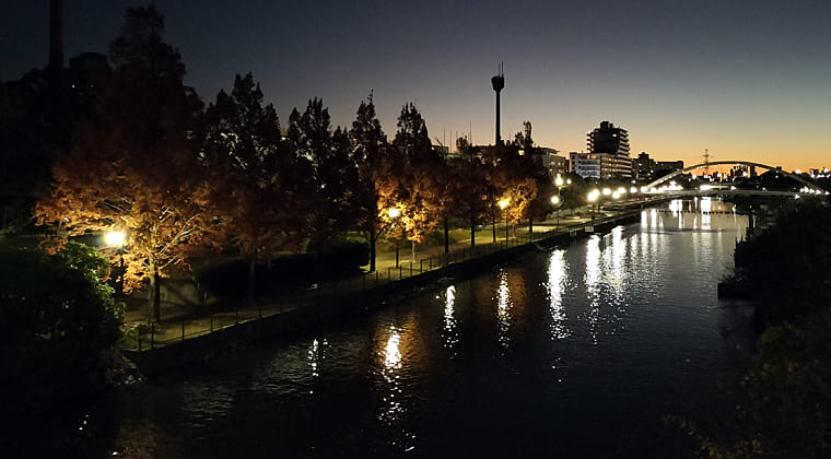 東京の東の端からわたしのウォーキング記録（2025.12.4）1