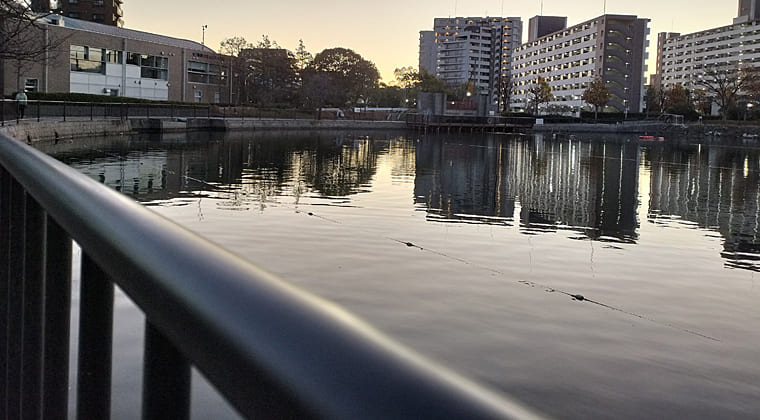 東京の東の端からわたしのウォーキング記録（2025.12.4）2