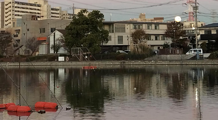 東京の東の端からわたしのウォーキング記録（2025.12.5）2