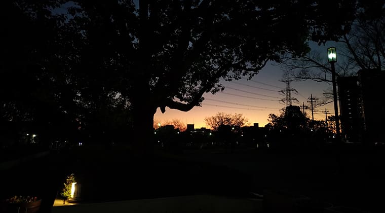 東京の東の端からわたしのウォーキング記録（2025.12.6）3