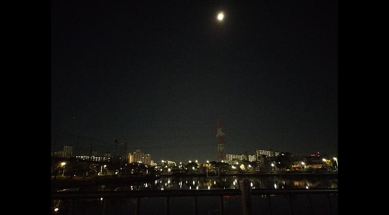 東京の東の端からわたしのウォーキング記録（2025.12.7）2