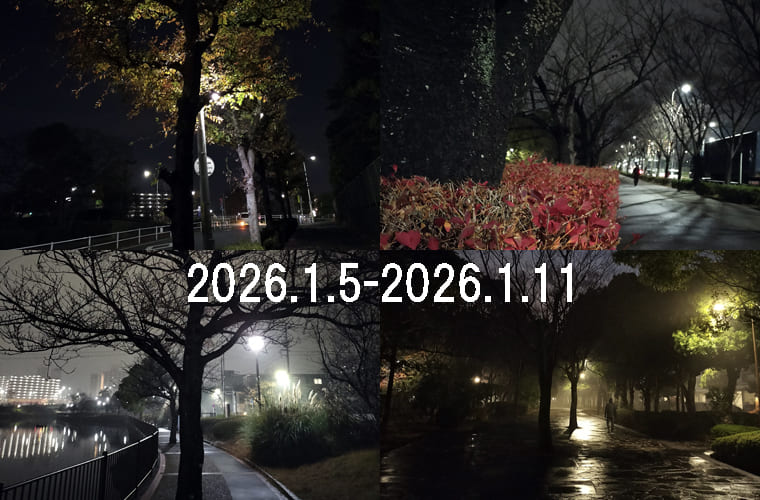 わたしのウォーキング記録（2026.1月2週目）