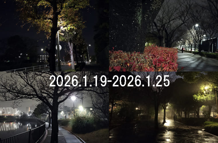 わたしのウォーキング記録（2026.1月4週目）