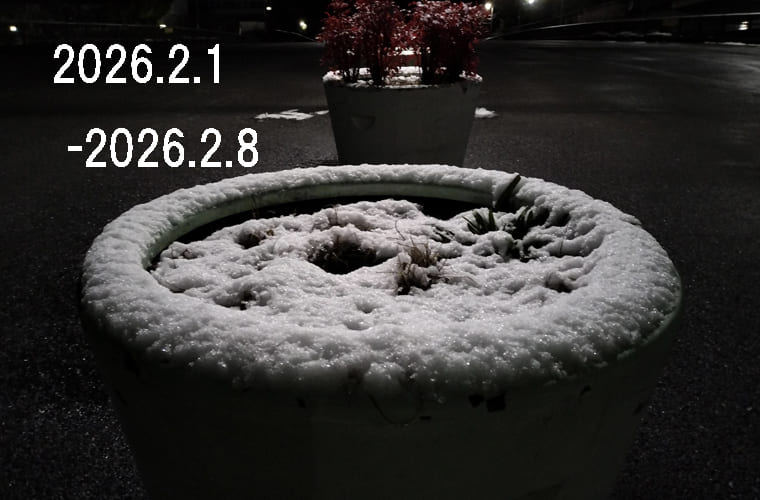 わたしのウォーキング記録（2026.2月1週目）