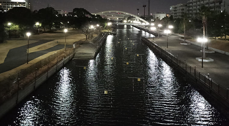 東京の東の端からわたしのウォーキング記録（2026.1.11）2