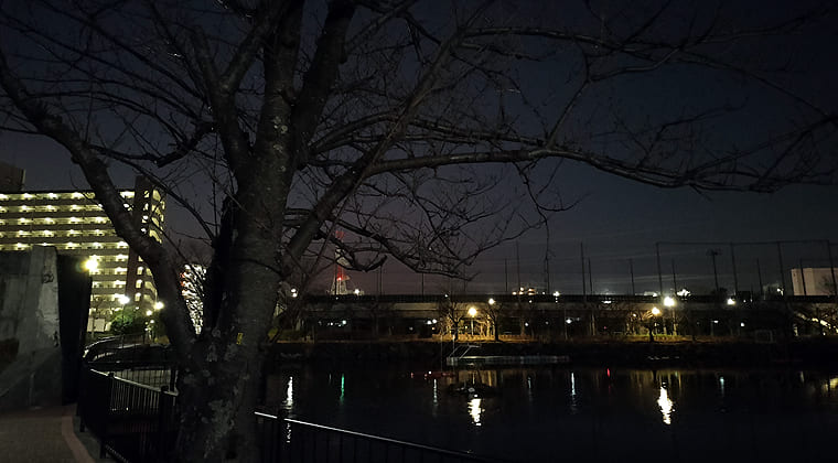 東京の東の端からわたしのウォーキング記録（2026.1.13）2