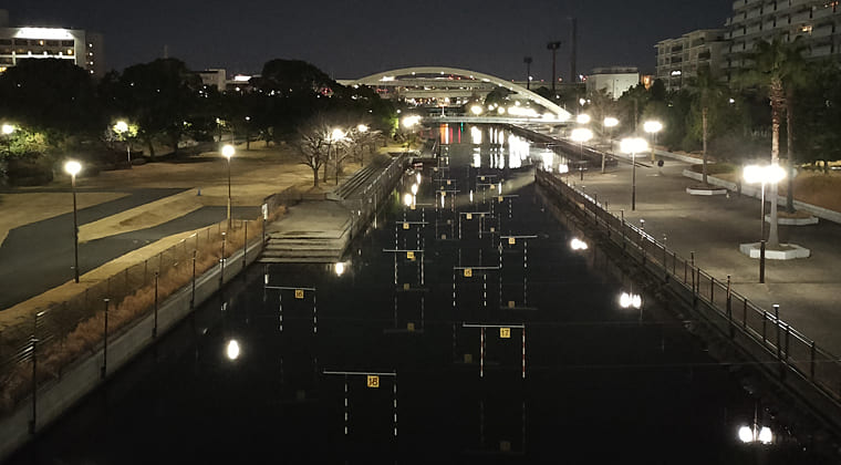 東京の東の端からわたしのウォーキング記録（2026.1.14）2