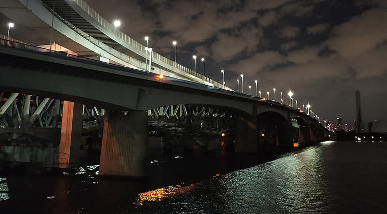 東京の東の端からわたしのウォーキング記録（2026.1.1）3