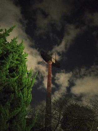 東京の東の端からわたしのウォーキング記録（2026.1.1）8